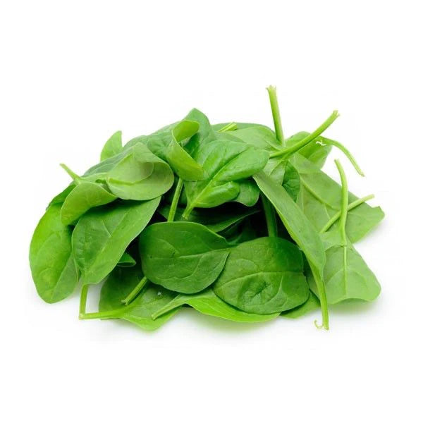 Baby Spinach - Italy