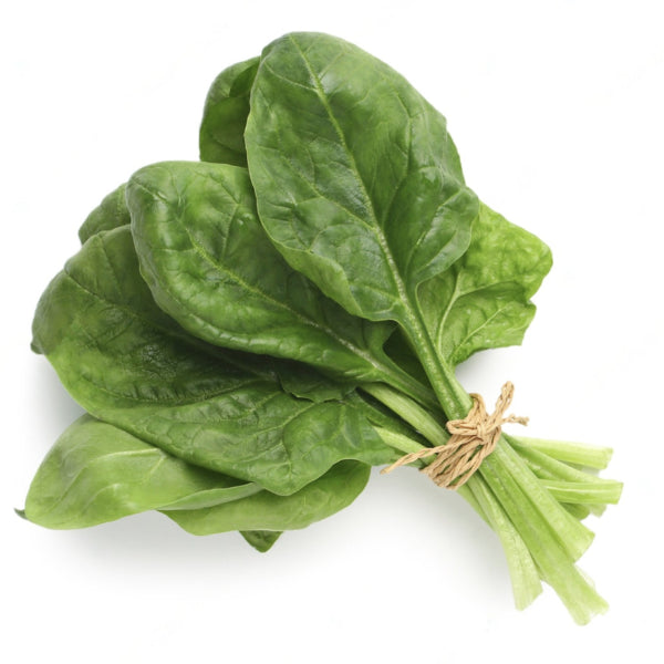 Baby Spinach - Italy