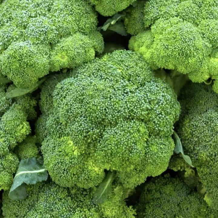 Broccoli - Spain