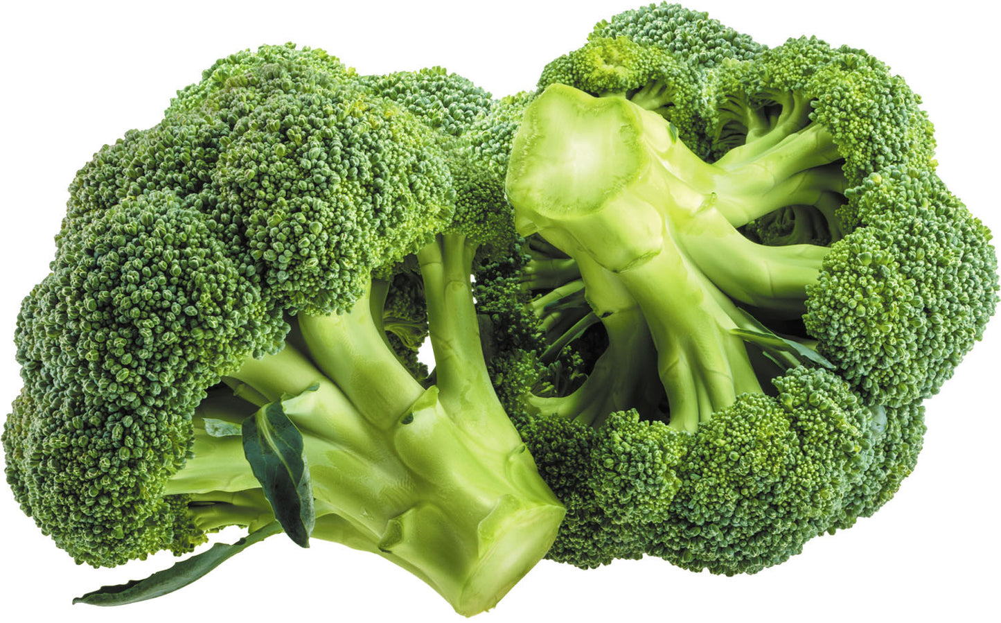 Broccoli - Spain