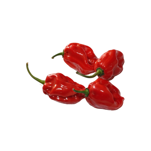 Habanero - Rwanda