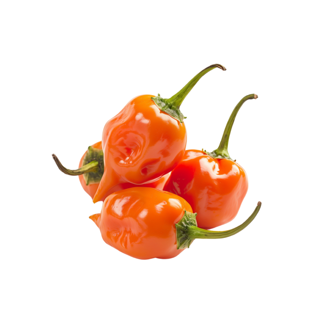 Hot Pepper - Uganda