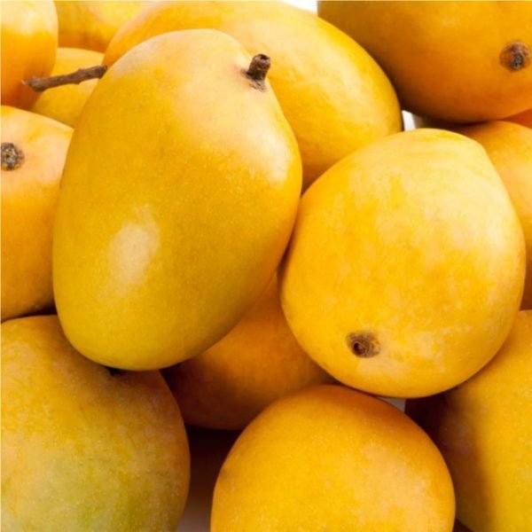 Anwar Ratol Mangoes - Pakistan