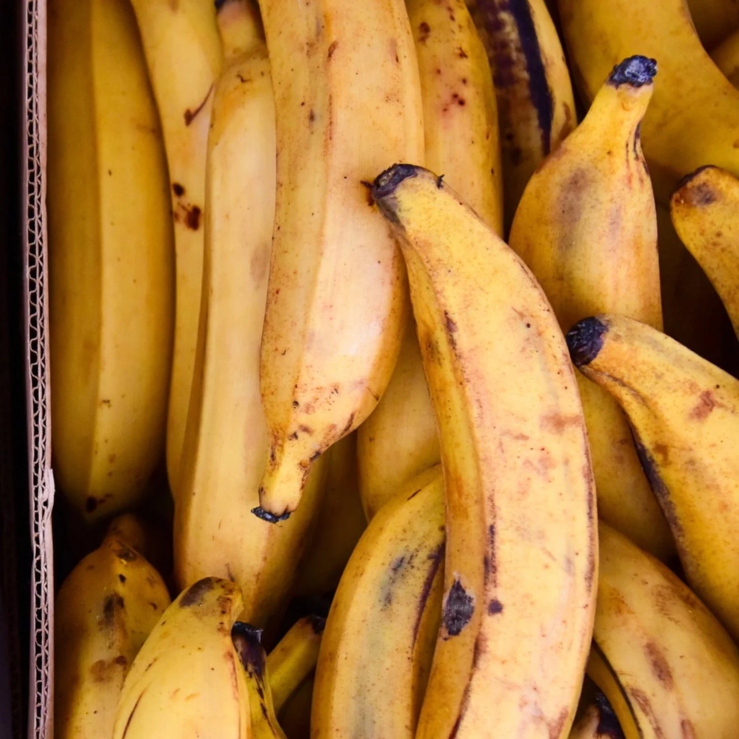 Plantain - Uganda
