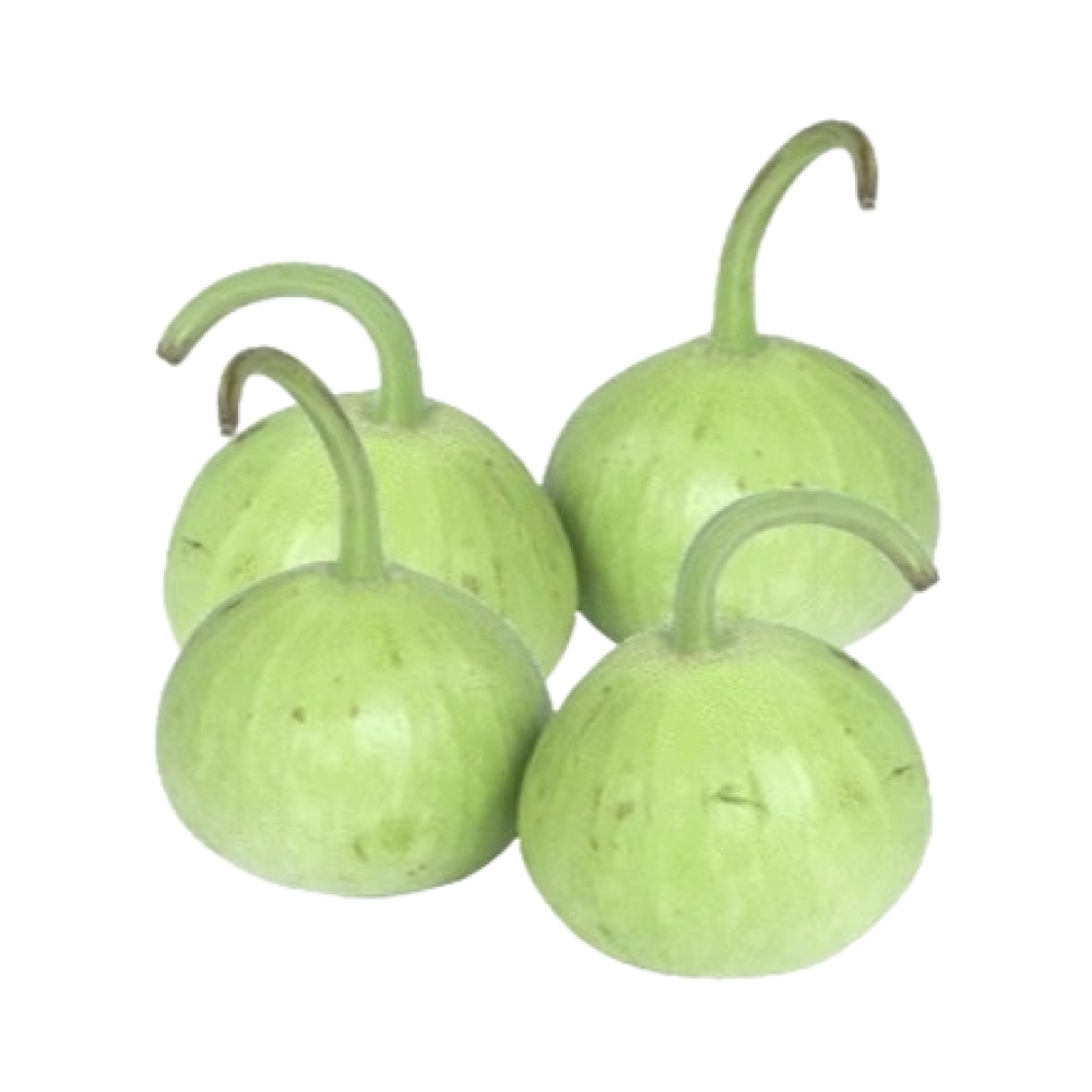 Round Dudhi - Pakistan