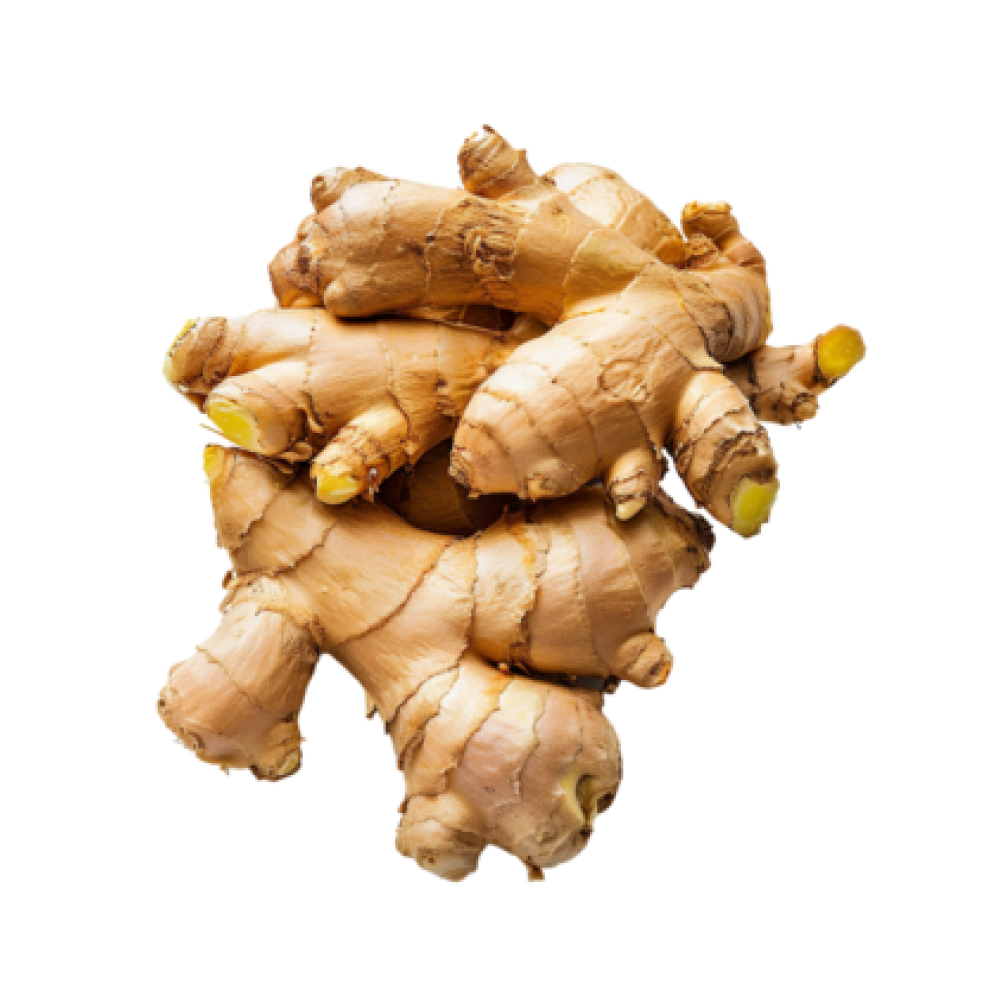 Ginger - Uganda
