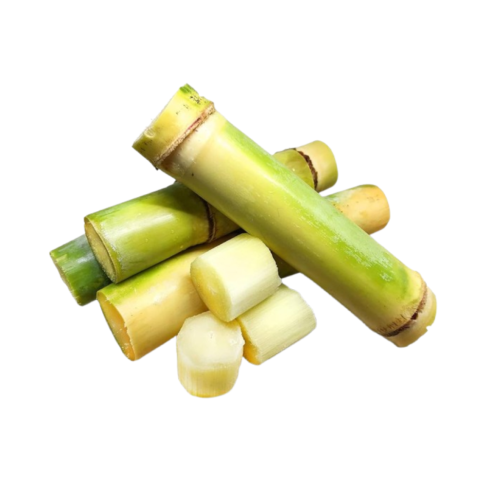 Sugarcane - Uganda