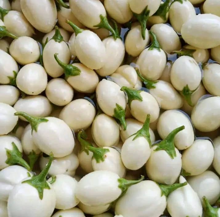 Garden Eggs - Uganda
