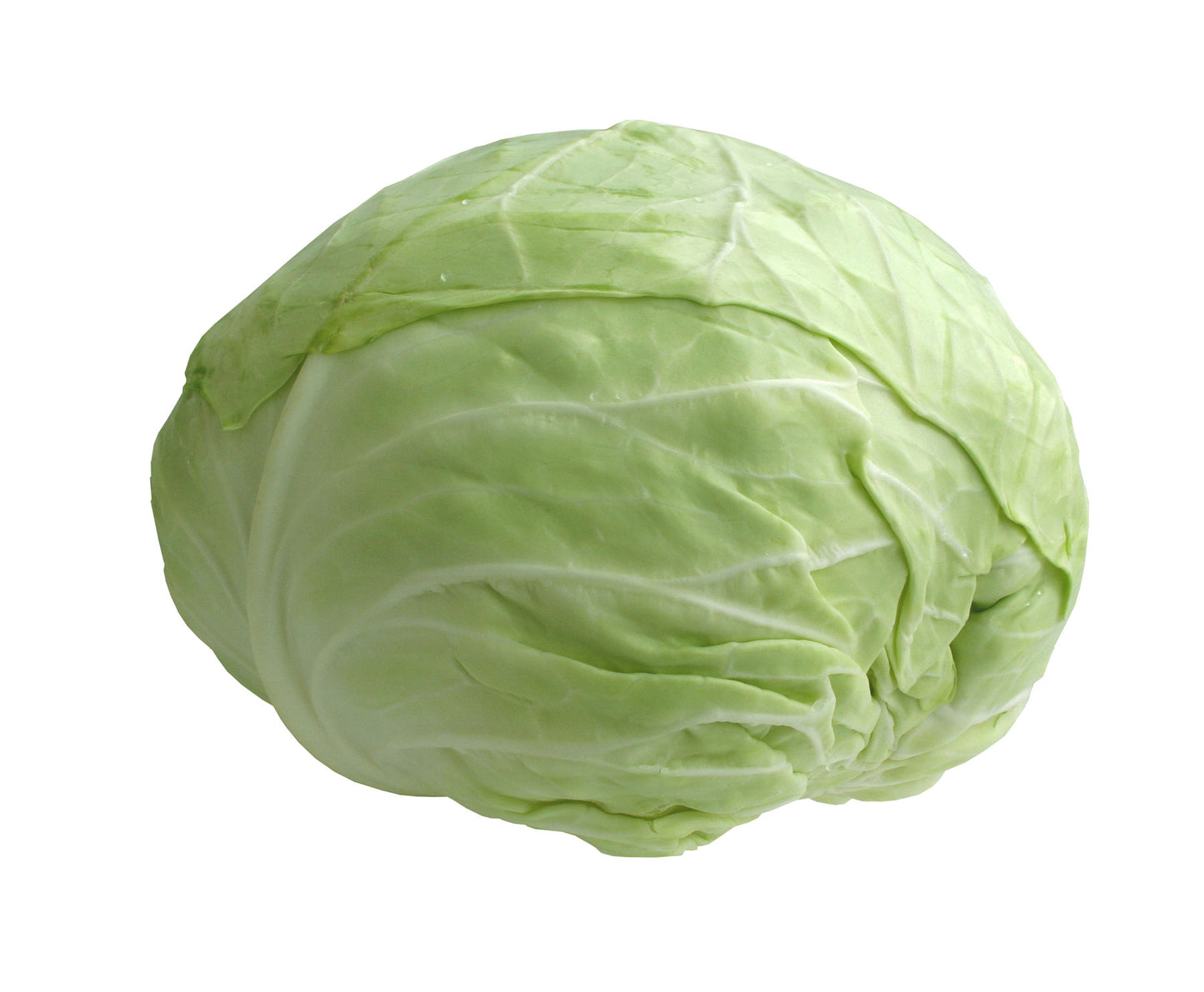 White Cabbage