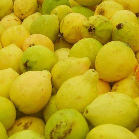 Guava - Eygpt