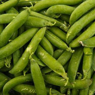 Fresh Peas - Pakistan