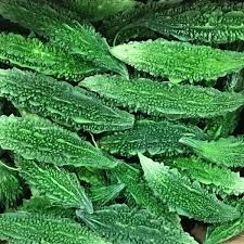 Karela - Tanzania