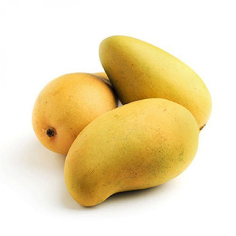 Sindhri (Honey) Mangoes - Pakistan
