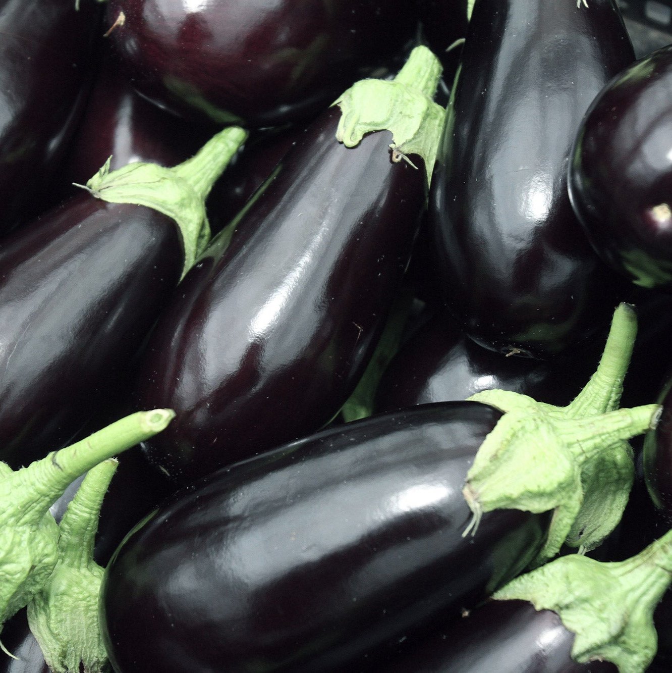 Aubergines - Kenya