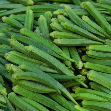 Honduras Okra (Indian)