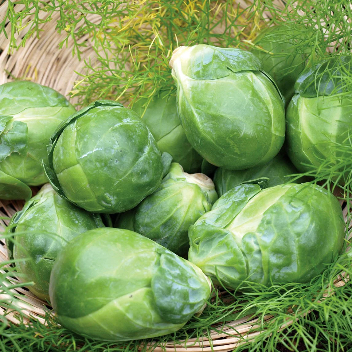 Brussels Sprouts