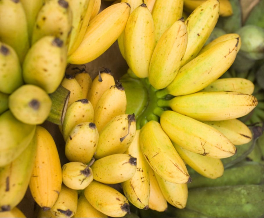 Uganda Apple Bananas