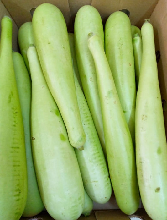 Kenya Dudhi (Bottle Gourd)