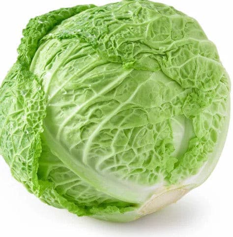 Green Cabbage