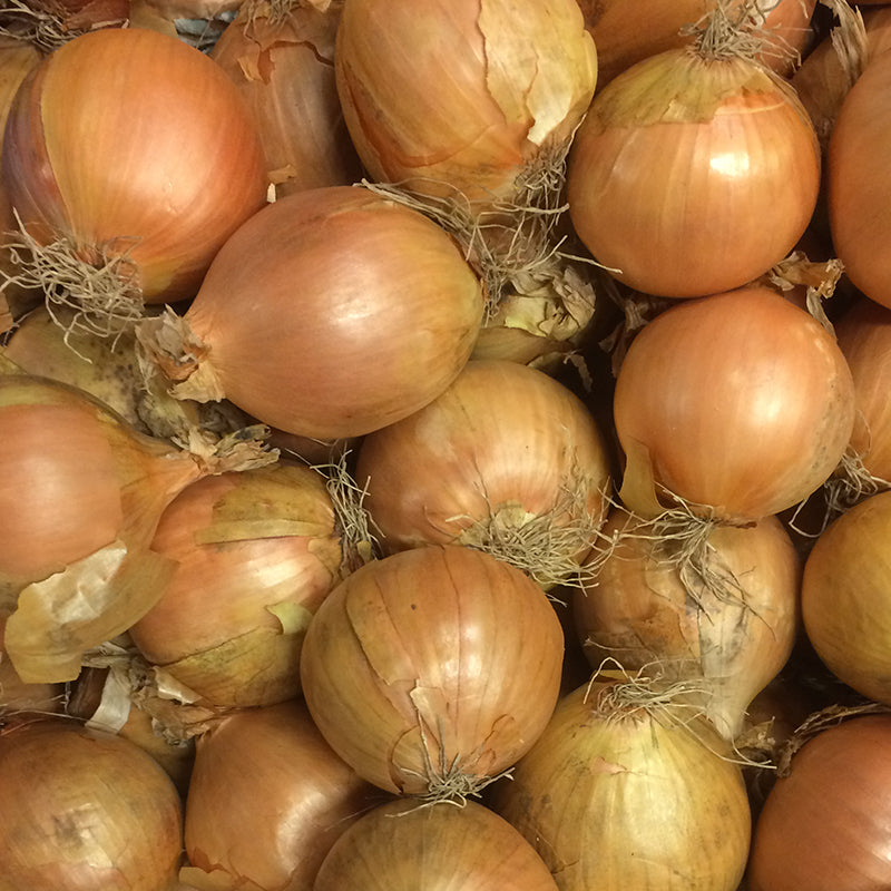 Dutch Onions