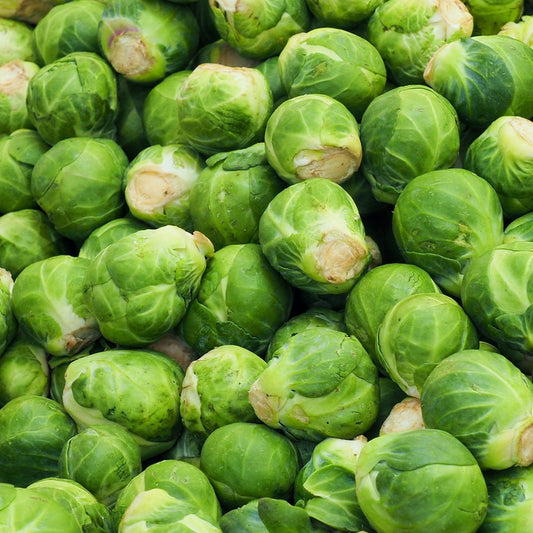 Brussels Sprouts